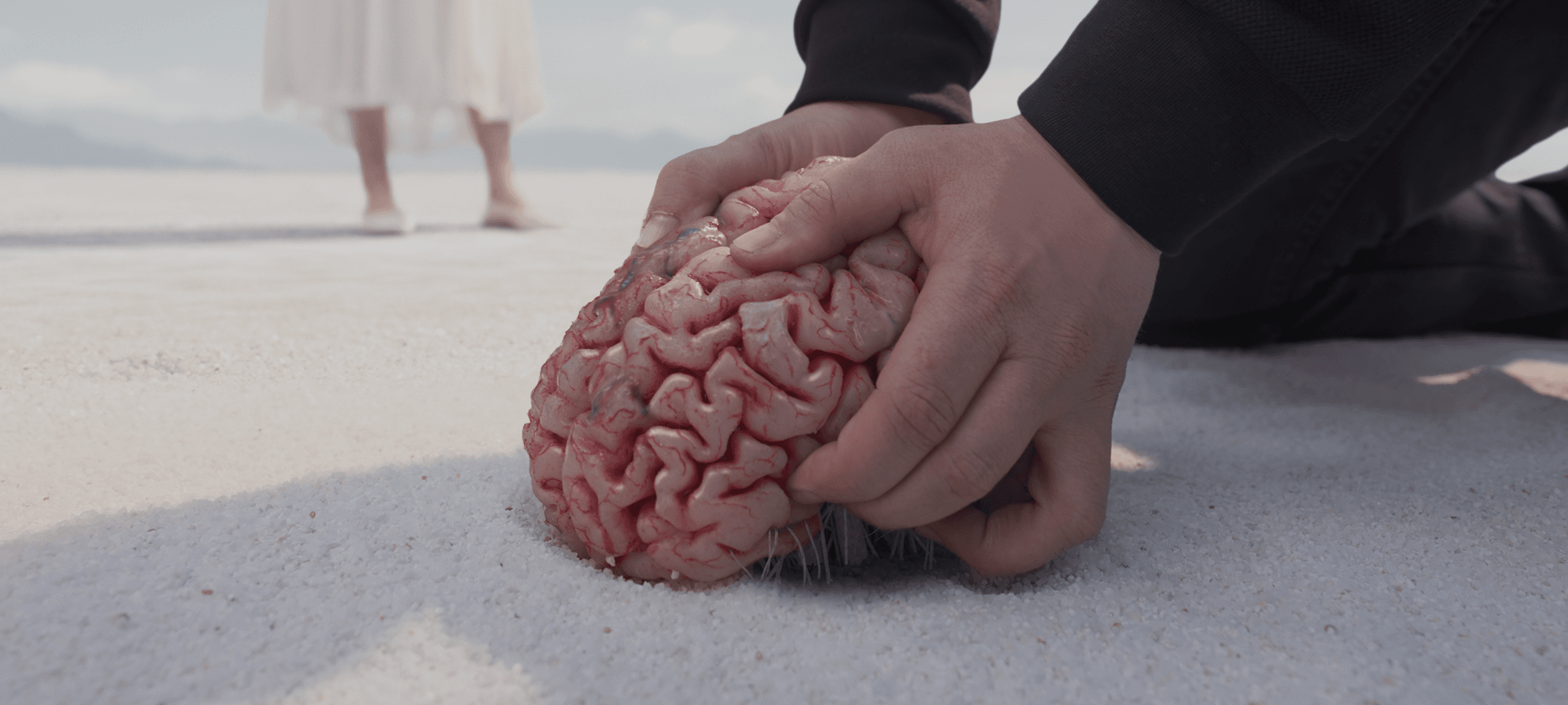 Project Gallery Image