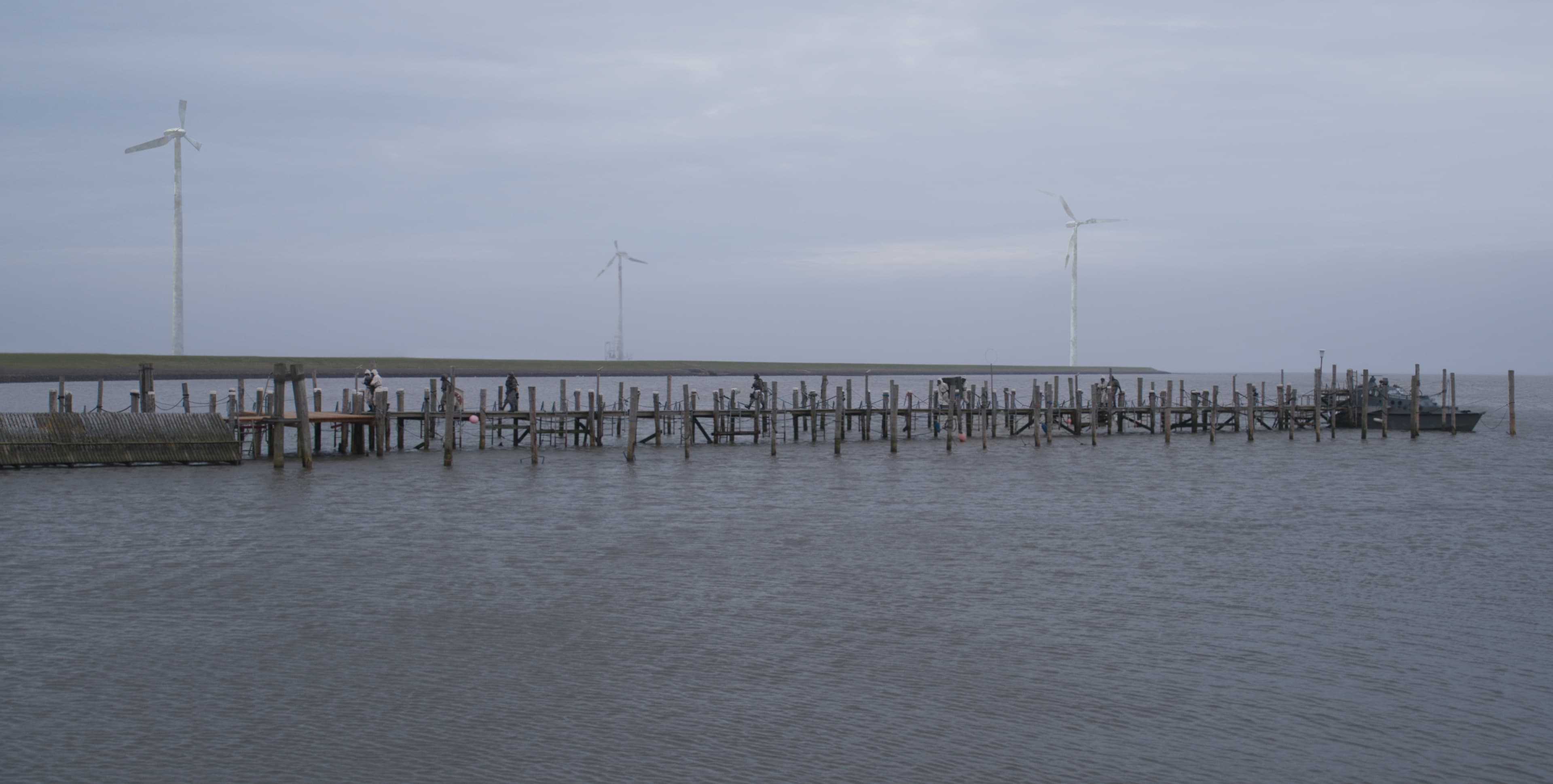 Project Gallery Image