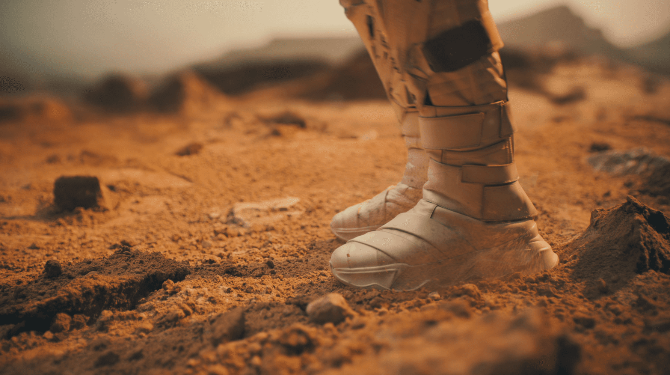 Project Gallery Image