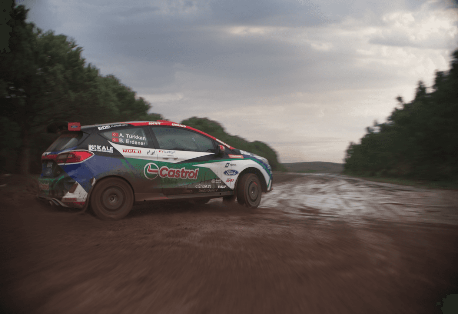 Project Gallery Image